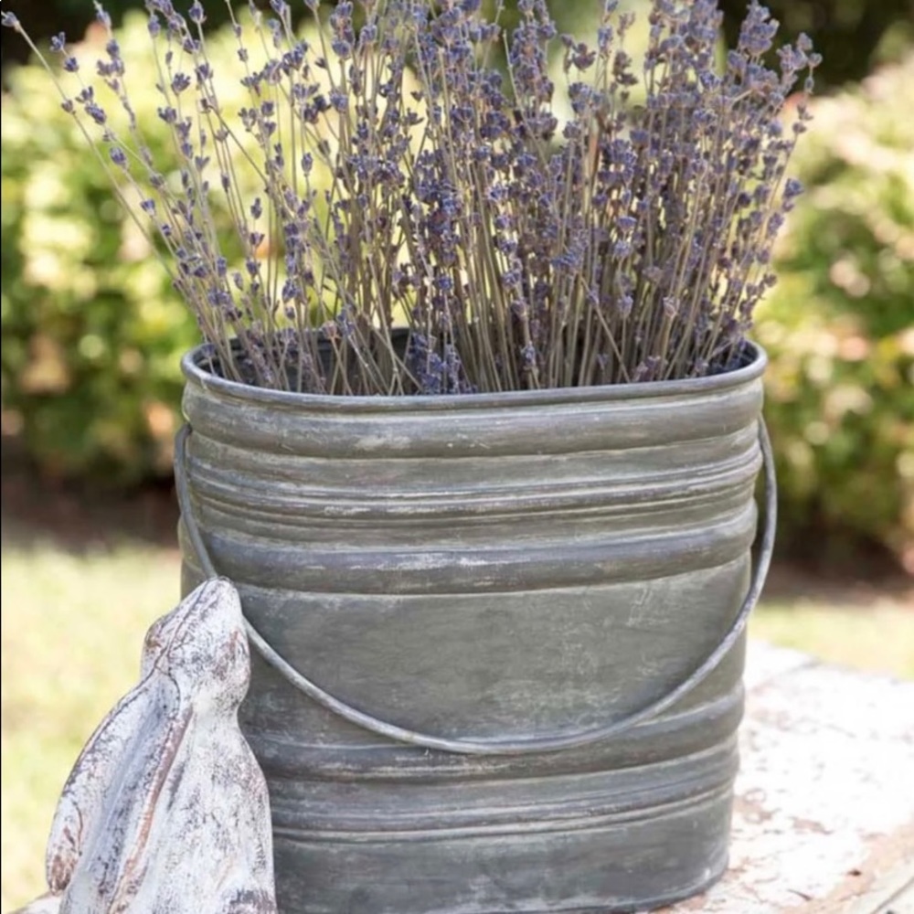 Galvanized gathering bucket
